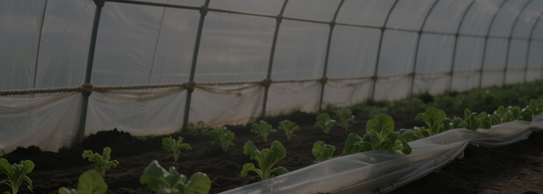 Kemikalije za svakodnevnu upotrebu